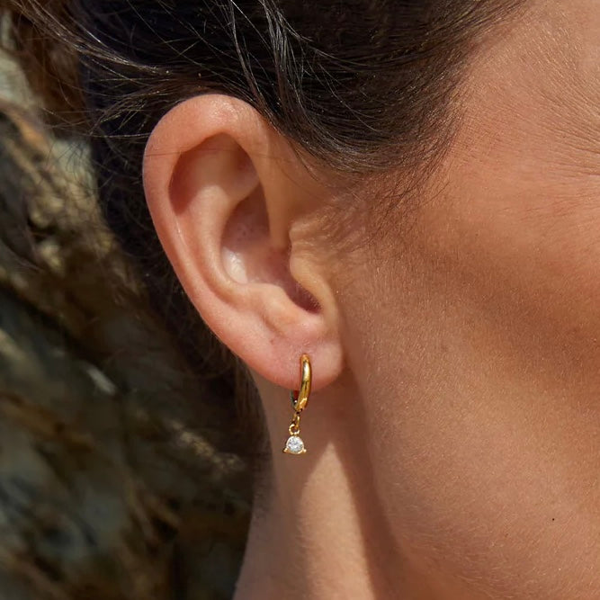 Diamond Cove Earrings