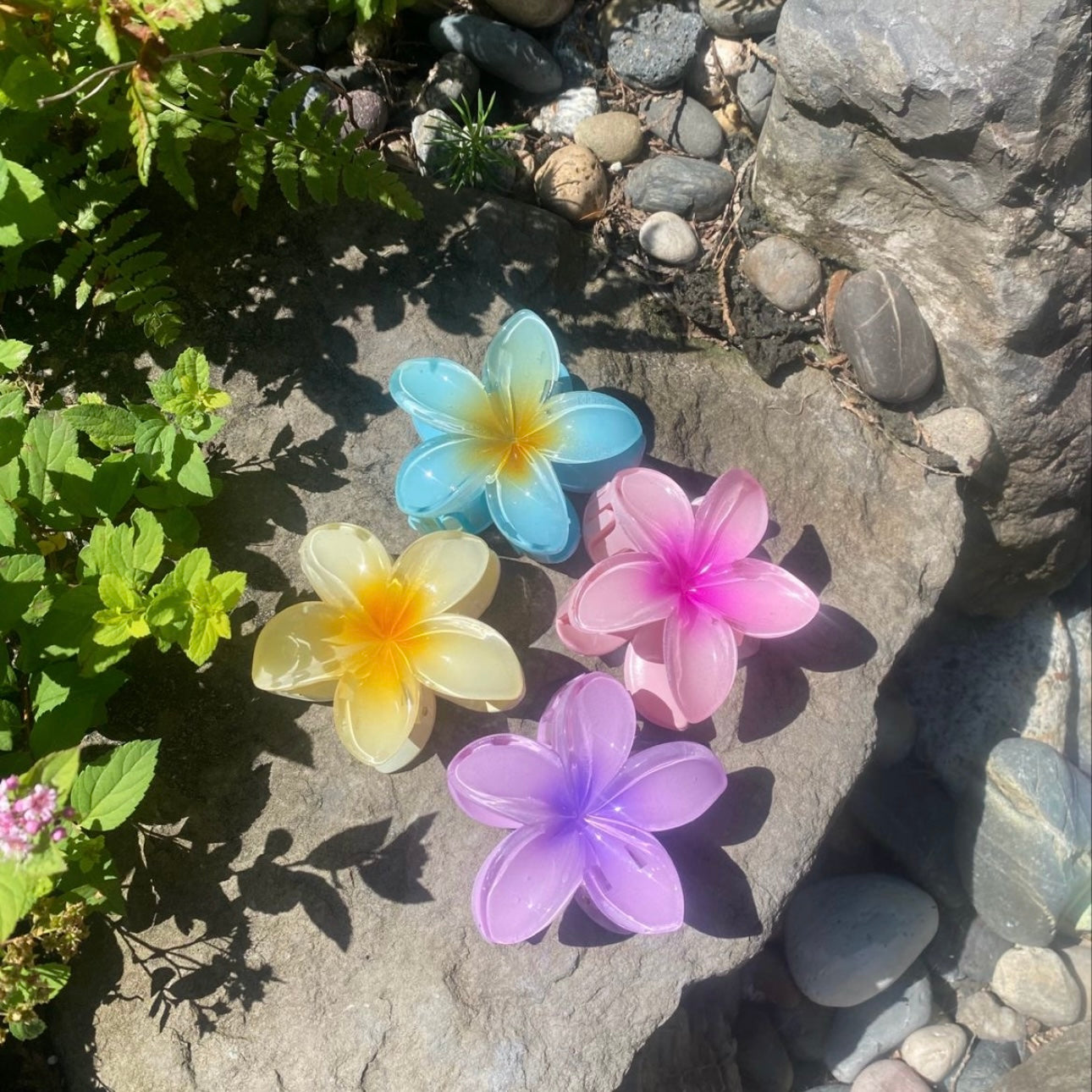 Tropical Hair Clip - Bahama Blue