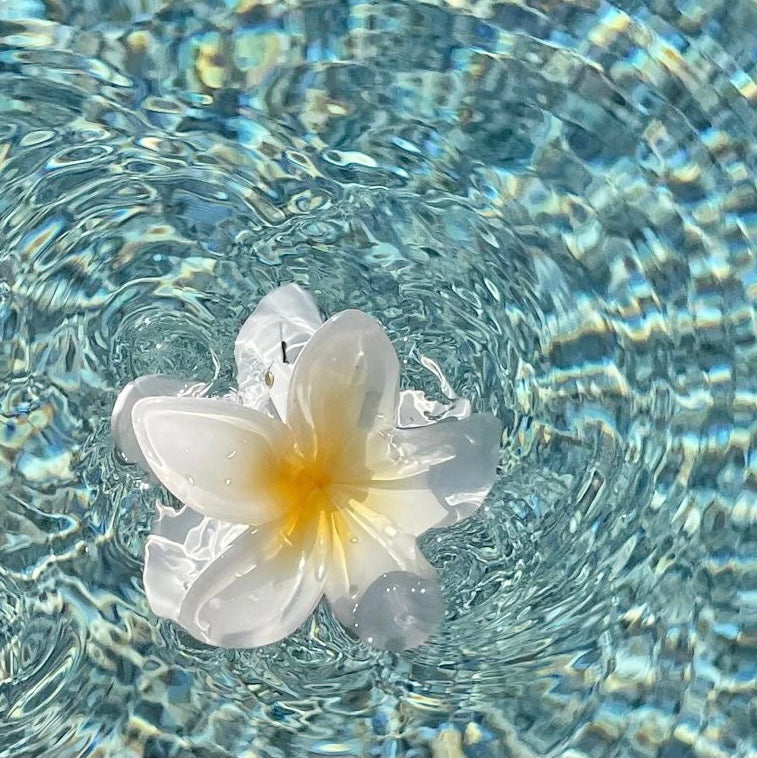 Tropical Hair Clip - White Plumeria