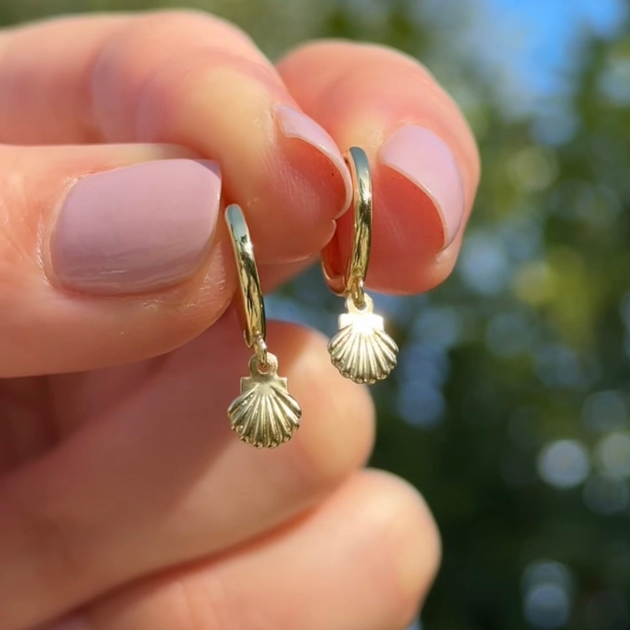 Seashell Earrings